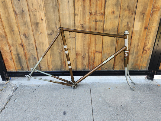 Vintage Raleigh Carlton Super Course Frameset 58